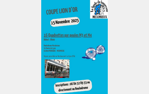 COUPE LION D'OR : 16 QUADRETTES